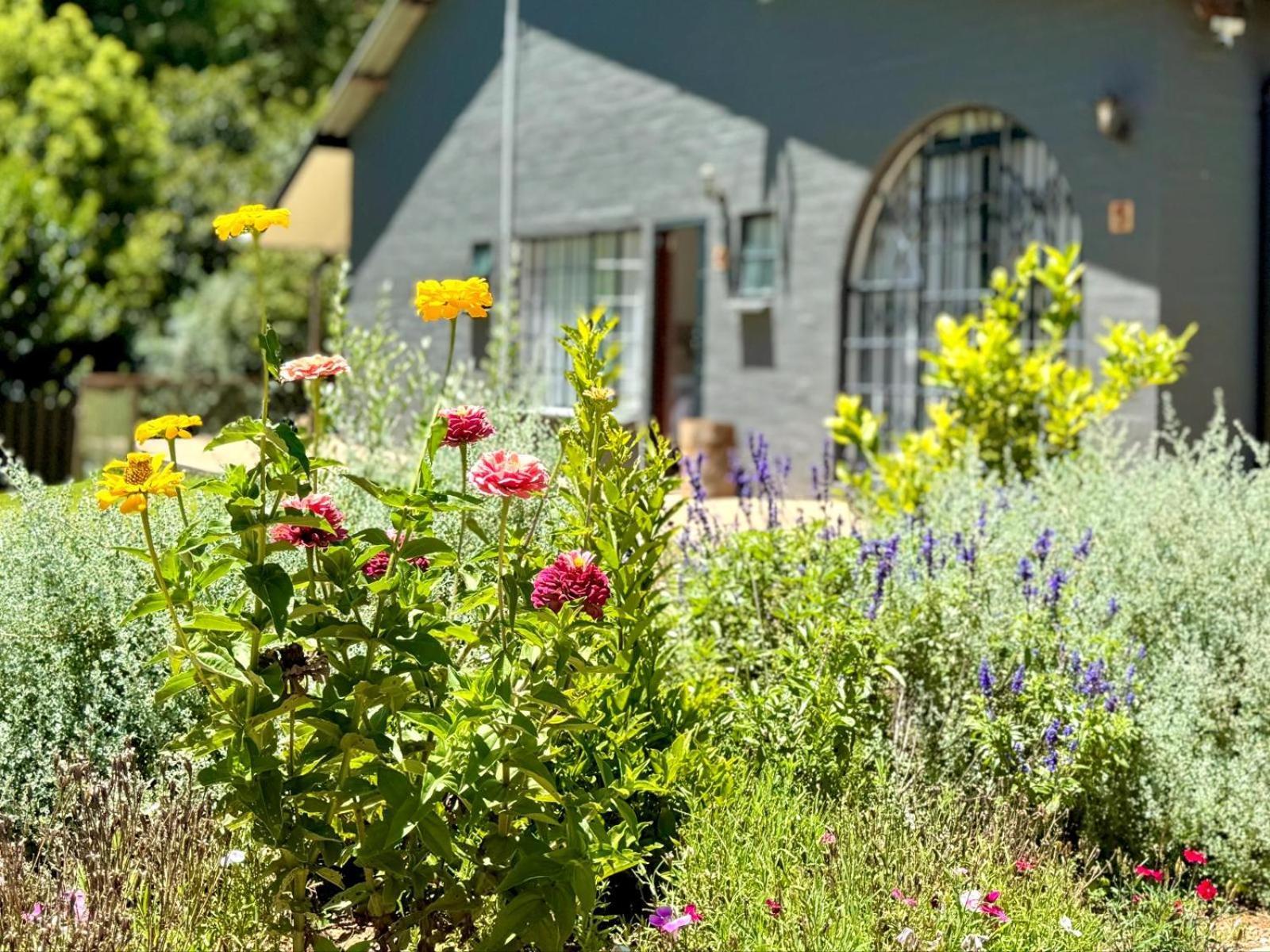 Fiddler'S Green Magoebaskloof Luaran gambar